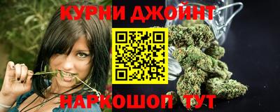 гидра Гусиноозёрск