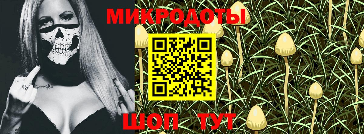 Галлюциногенные грибы MAGIC MUSHROOMS  продажа наркотиков  Нижнекамск  Псилоцибиновые грибы Magic Shrooms  Вход с VPN 